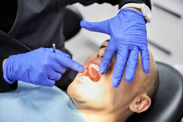 Best Emergency X-Rays and Diagnostics in Breckinridge Center, KY